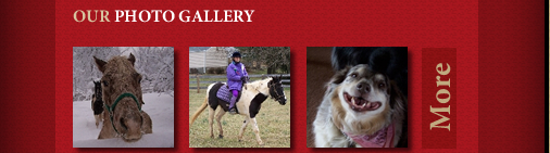 Go to our photo gallery