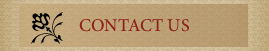 How to contact us